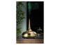 Gouden aroma diffuser met groene nevel en verlichting, naast een plant op een houten ondergrond.
