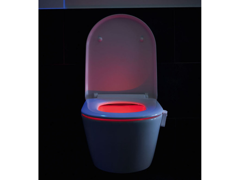 Ga naar volledige schermweergave: LIVARNO home LED-WC-licht - afbeelding 11