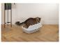 Kat in een kattenbak met een plant links.