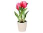Kunstmatige roze tulpen in pot