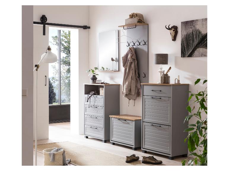 Moderne hal met grijs meubilair, spiegel, kapstok en decoratie.