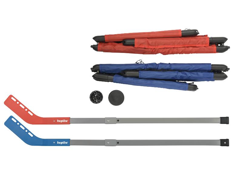Twee hockeysticks, een puck, een bal en twee sets opgevouwen hockeydoelen in rood en blauw.