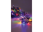 Kleurrijke kerstverlichting op een dennentak, die een feestelijke sfeer creëert.