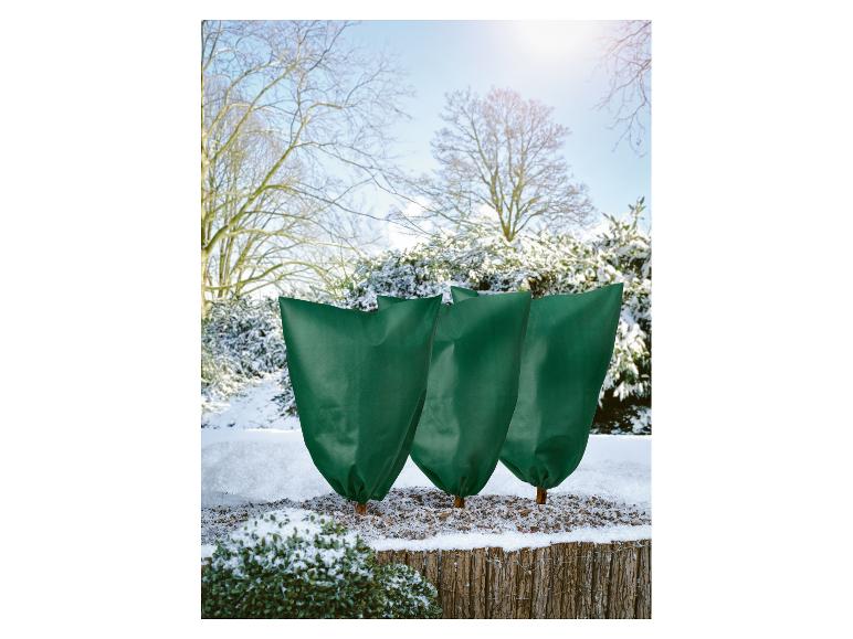 Drie groene plantenbeschermhoezen in de sneeuw.