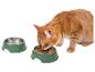 Een rode kat eet uit een groene kom.