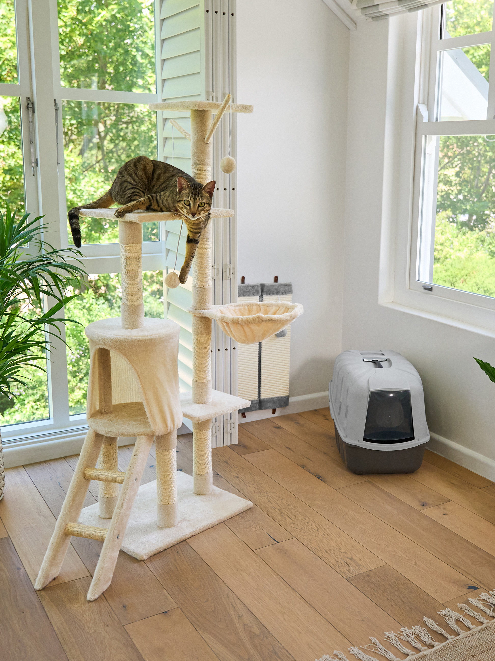 Cyperse kat op een krabpaal met kattenbak in een lichte kamer.