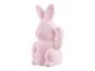 Een roze konijnenbeeldje.
