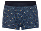 Blauwe boxershorts met een tropisch printje van toucans.