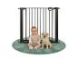 Veiligheidshekje met een baby en een puppy zittend op een rond groen vloerkleed.