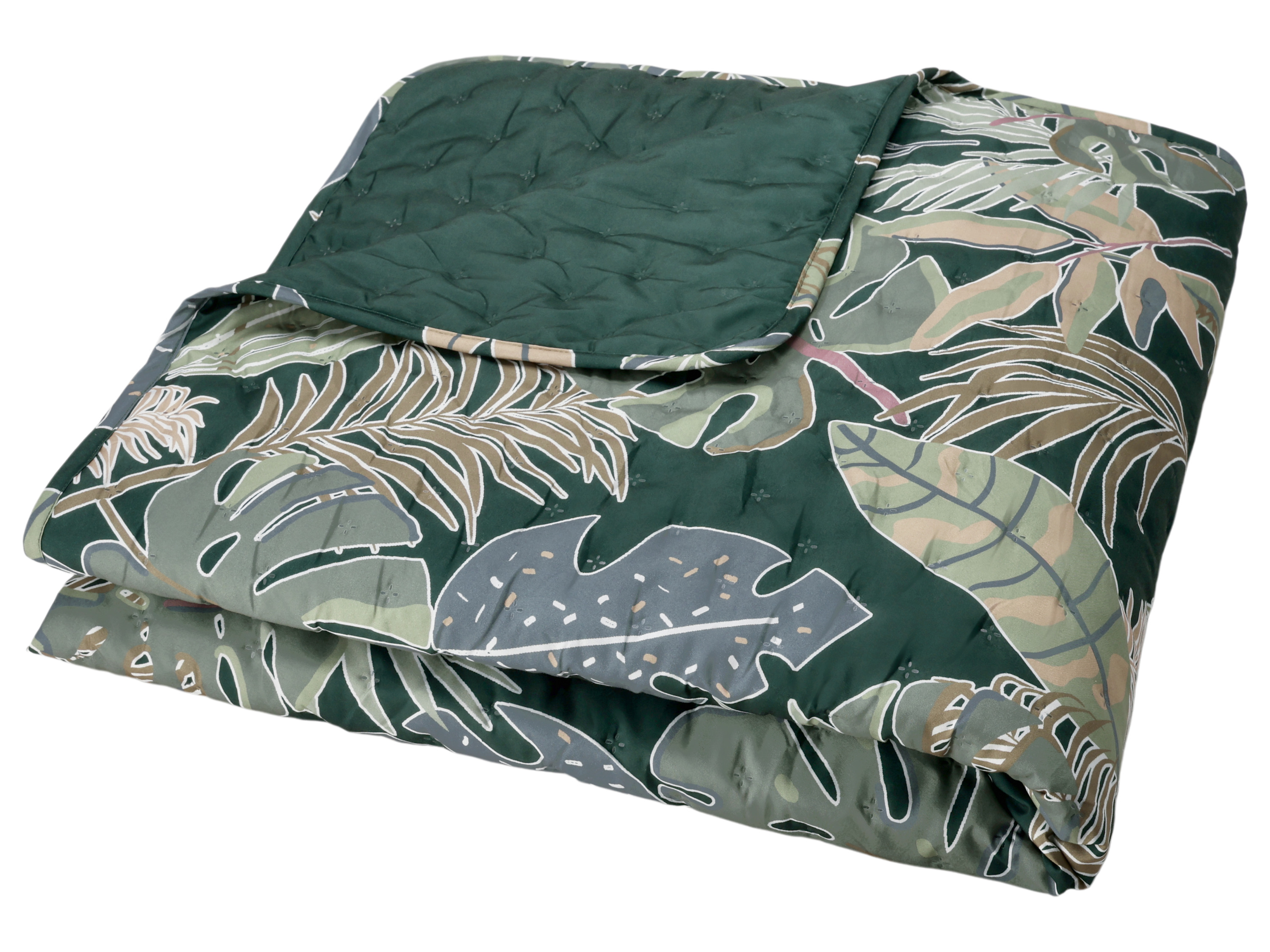 LIVARNO Plaid 220 x 240 cm (groen)