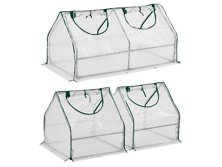 Twee transparante mini-kassen met groene rand