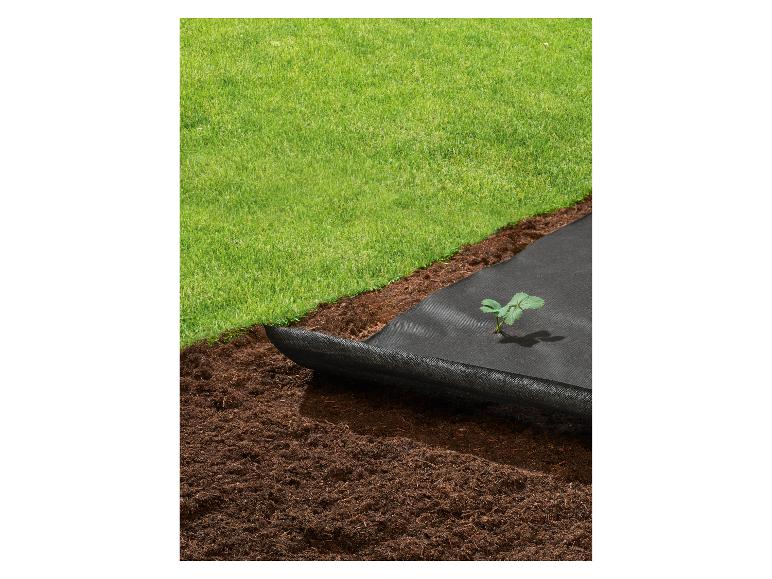 Zwart anti-worteldoek met jonge plant en gazon