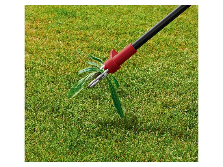 Onkruidverwijderaar verwijdert onkruid uit een groen gazon