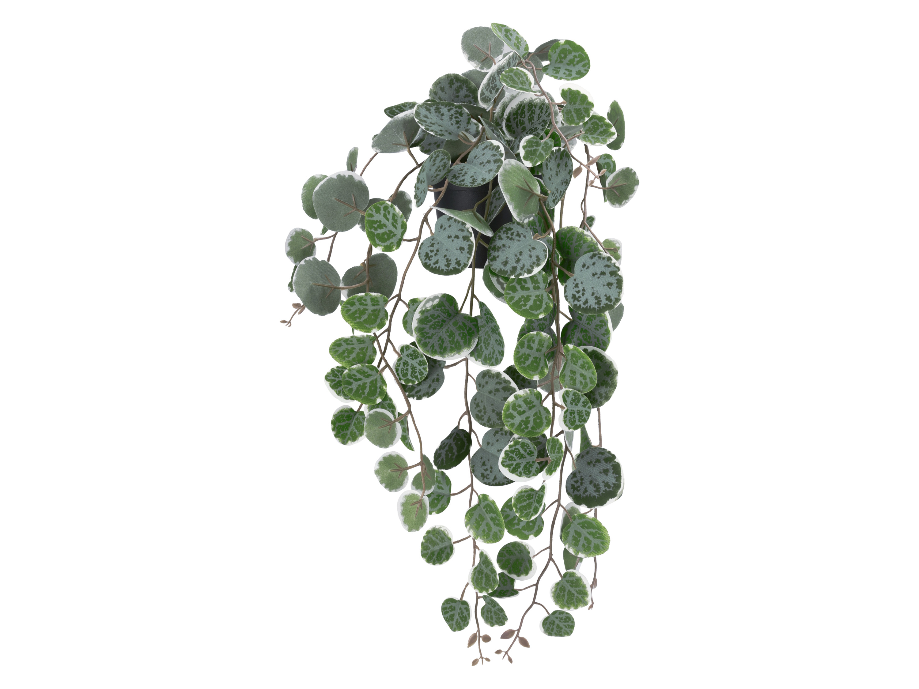 LIVARNO Hangende kunstplant (Kandelaar bloem)