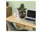 Houten bureau met een laptop, boeken en een kunstmatige bonsaiboom.