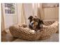 Hond ligt in beige bloemvormig hondenbed in lichte kamer.