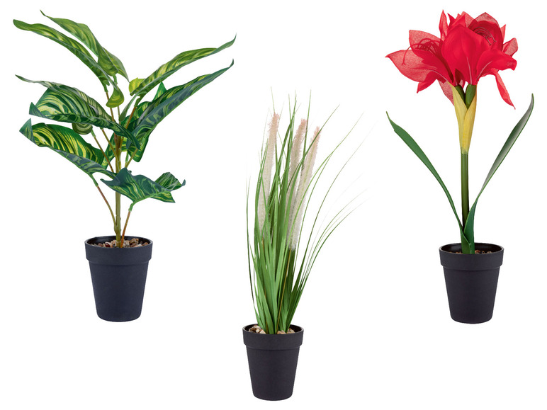 Kunstplanten, waaronder een amaryllis en een groene plant
