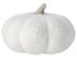 Pluche witte pompoen, perfecte herfstdecoratie.