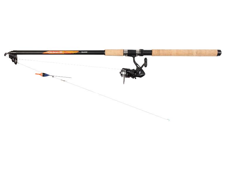 Paladin Forelle-Barsch 300 hengel met molen en dobber.