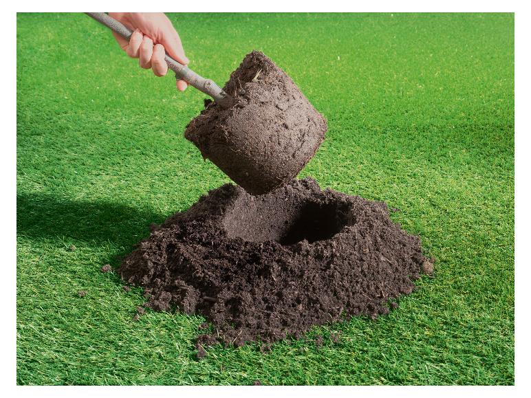 Hand plant een kleine boom met kluit in een gat in de grond.