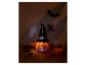 Verlichte Halloweenpompoen met heksenhoed, omringd door herfstdecoraties.