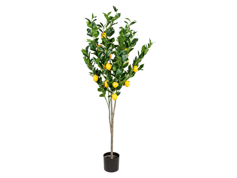 Ga naar volledige schermweergave: LIVARNO home Kunstplant citroenboom 160 cm - afbeelding 1