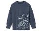 Een donkerblauw longsleeve shirt met een dinosaurusprint