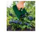 Blauwe bessen oogsten met een groene kam.