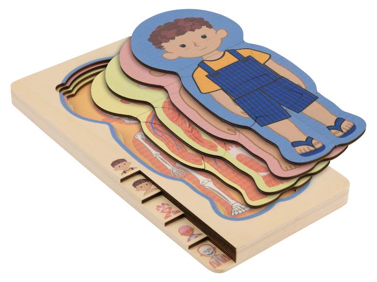 Houten lagenpuzzel van het menselijk lichaam voor kinderen, met een gekleed jongetje op de bovenste laag.