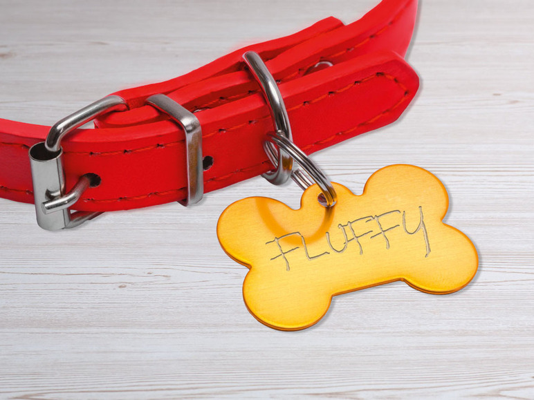 Een rode hondenriem met een gouden hondenpenning met de naam Fluffy