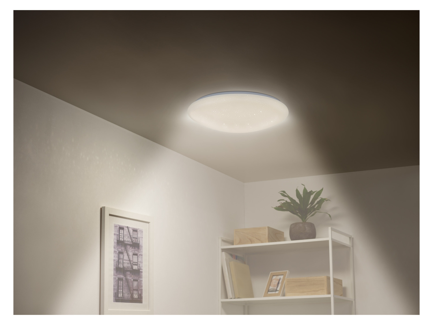 WiZ Smart plafondlamp | Rond | Wit | RGB 2200-6500K | 32W WiZ WiZ Smart plafondlamp | Rond | Wit | RGB 2200-6500K | 32W WiZ