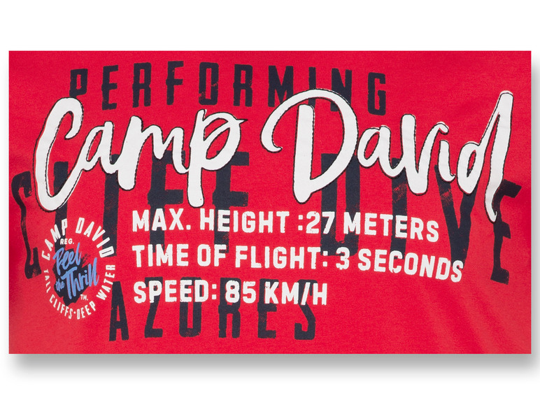 Ga naar volledige schermweergave: Camp David Heren t-shirt - afbeelding 8