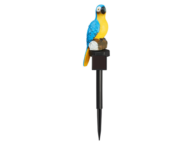 LIVARNO home LED solar tuinstekker Vogels (Blauwe papegaai)