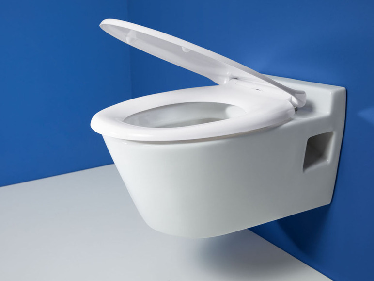 Ga naar volledige schermweergave: LIVARNO home Toiletbril - afbeelding 17
