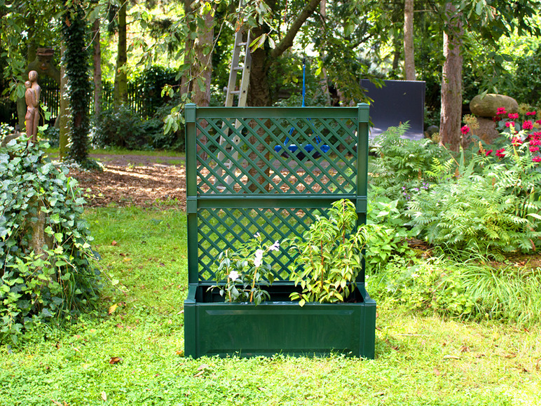 Een groene plantenbak met trellis in een tuin