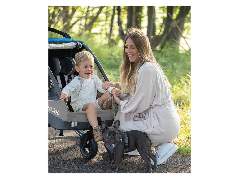 Een vrouw met een kind en een hond, die samen een ritje maken in een grijs Queridoo vervoerskarretje.