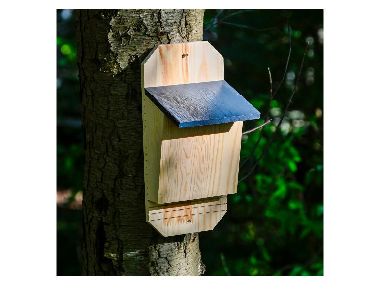 Houten vleermuizenkast bevestigd aan een boom in het bos.