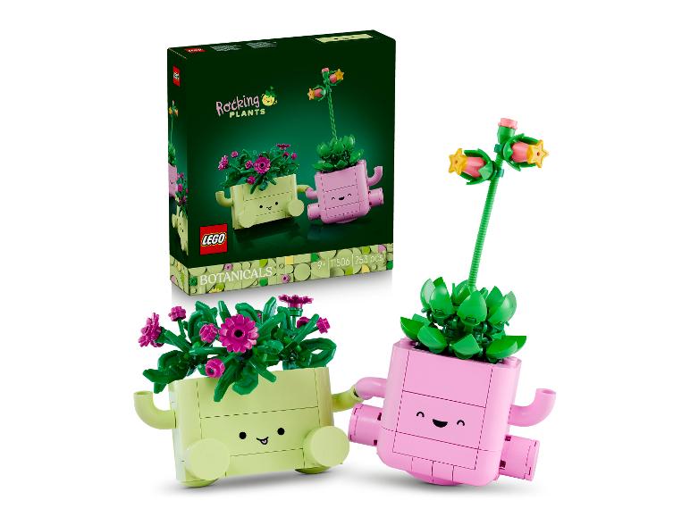 LEGO BOTANICALS 11506 Schaukelnde Pflanzen met doos en twee kleurrijke planten.