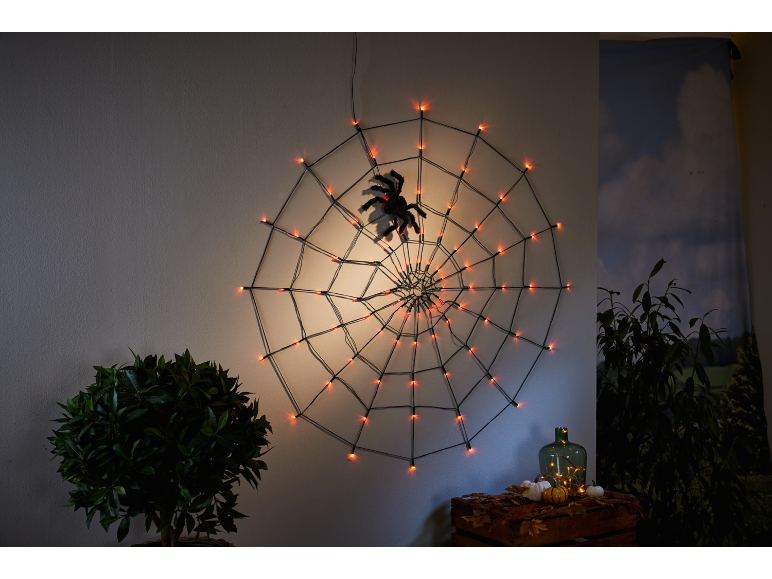 Verlicht Halloween spinnenweb met spin, pompoenen en herfstdecoraties.