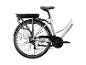 Achteraanzicht van de witte Zündapp Z802 28 inch dames trekking e-bike.