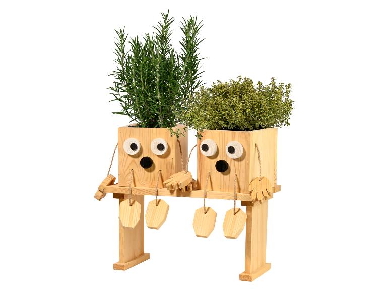 Houten plantenbakken met gezichten en kruiden, rozemarijn en tijm.