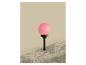 Roze ronde tuinlamp in een bloembed met planten.
