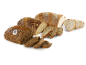 Assortiment van vers biologisch brood in hele broden en sneetjes op een donkere achtergrond