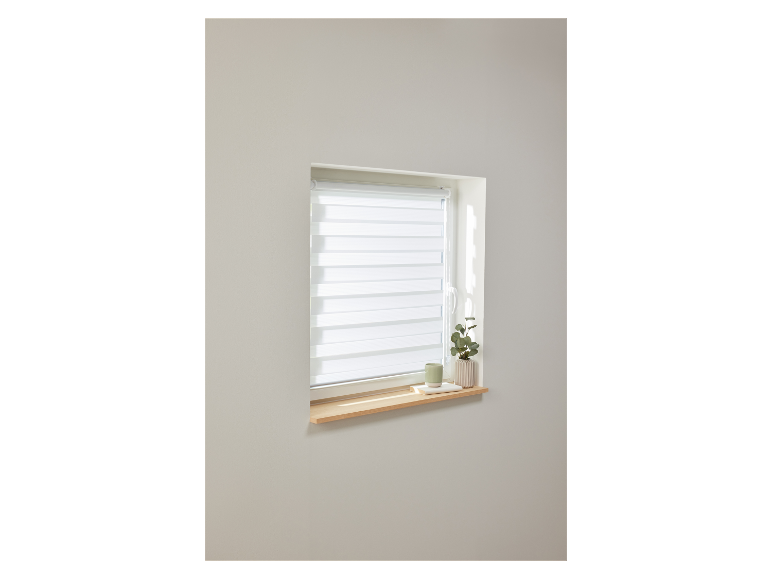 Een witte rolgordijn in een raam met een kleine plant op de vensterbank.