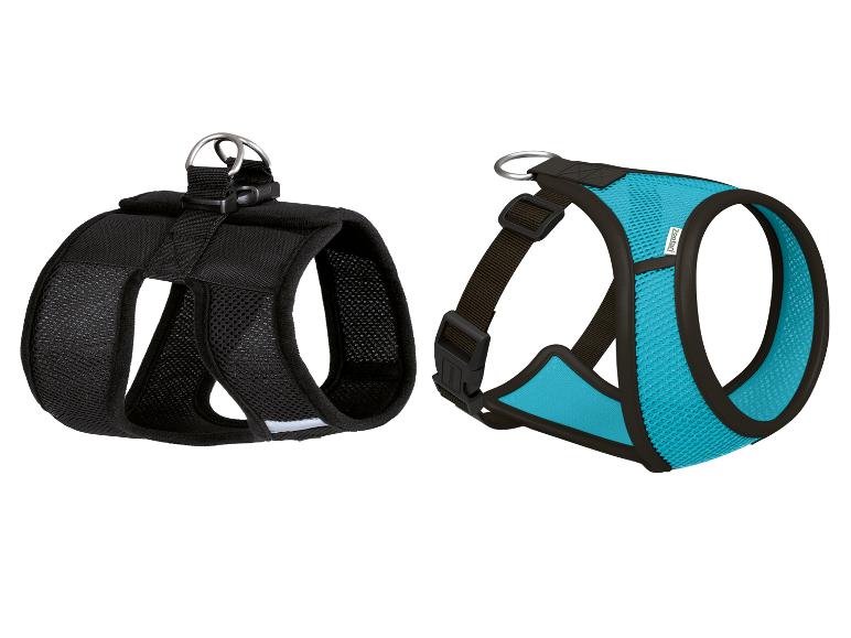 Hondentuig: zwart model en turquoise Zooafari tuigje.