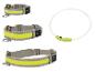 Twee grijze reflecterende hondenhalsbanden en één witte lichtgevende halsband.