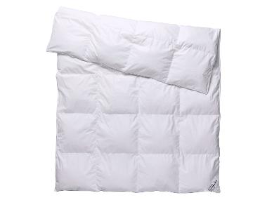 Lidl-shop LIVARNO® Donzen dekbed 200 x 200 cm aanbieding