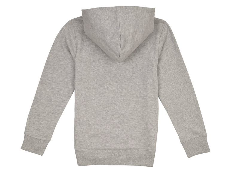 Een grijs sweatshirt met capuchon.