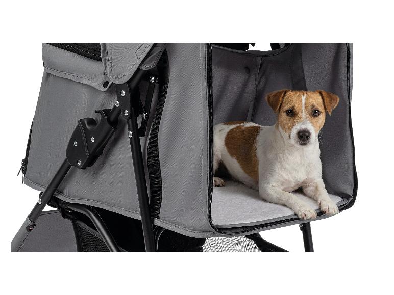 Jack Russell hond in een grijze hondenbuggy