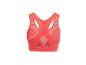 Achteraanzicht van een koraalroze sportbeha met mesh details en haak-en-oogsluiting.